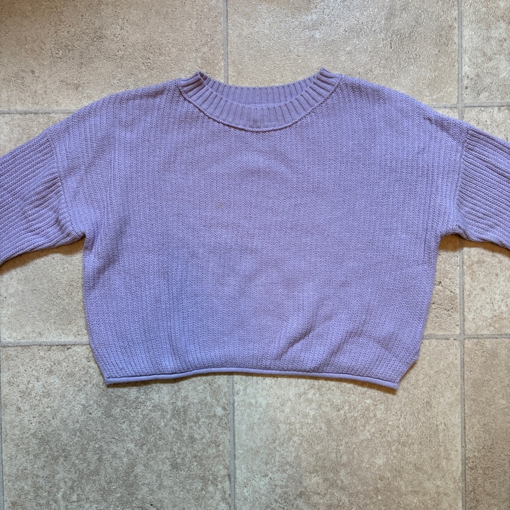 Wild Fable Purple Knit Cropped Sweater
